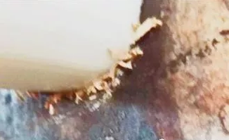 聚乙烯蜡 聚乙烯蜡